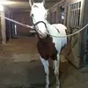 Kevin Schlabach - @kevinschlabach07 - TikTok