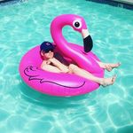 Kevin Scholl - @kevinhscholl - Instagram
