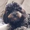 kevinscholl355 - @kevinscholl355 - TikTok