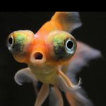 Kevin Schweizer - @schweizer246 - Instagram