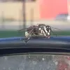 Kevin Secord - @kevin.secord0 - TikTok