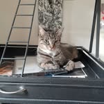 Kevin Lucien Serres - @serres295 - Instagram