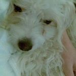 Kevin Settle - @settle.kevin - Instagram