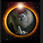 Kevin Sharp - @humanzee13 - Instagram