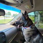 Kevin Shepherd - @kevin.shepherd.908 - Instagram