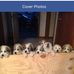 Kevin Shepherd - Facebook