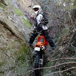 Kevin Shew - @kevinshew - Instagram