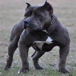kevinshortt - @kevinshortt1 - Instagram
