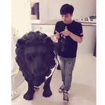 涂芳翔 - @kevin.show.74 - Instagram