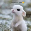 Kevin Shows - @kevin.shows4 - TikTok