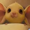 Kevin Shows - @givememoney01 - TikTok