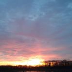 Kevin Shutt - Facebook