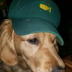 Kevin Shutt - @kevinshutt - Instagram
