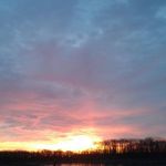 Kevin Shutt - @kevin.shutt.3 - Instagram