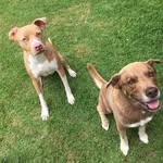 Kevin Siders - @ksiders79 - Instagram