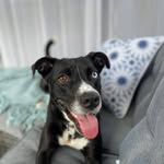 Kevin Simmonds - @colleen.simmonds73 - Instagram