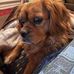 Kevin Singleton - Facebook