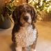 Kevin Singleton - Facebook