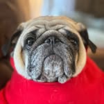 @kevinsipple691 - Instagram