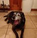 Kevin Slavin - Facebook