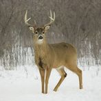 Kevin Snead - Facebook