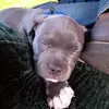 Kevin Snead - @kevin.snead0 - TikTok