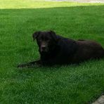 Kevin Soper - Facebook