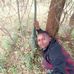Kevin soul - Facebook