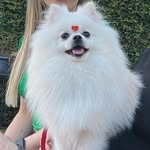 Kevin - @kevin.spitz_ - Instagram