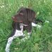 Kevin Spitz - Facebook
