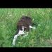 Kevin Spitz - Facebook