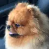 kevin_spitz - @kevin_spitz - TikTok