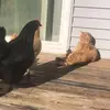Kevin Spahn - @kevin.spahn - TikTok