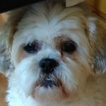 Kevin Stapleton - @kevin.stapleton.7739 - Instagram