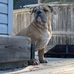 Kevin St.Clair - Facebook