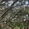 Kevin’s Tech - @kevins.tech - TikTok