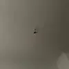 kevinsteinke3 - @kevinsteinke3 - TikTok