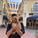 Kevvvv - @kevinsteinkeller232 - Instagram