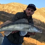 Kevin Steinmann - @steinmannkevin - Instagram