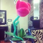 Kevin  - @kevinstems - Instagram