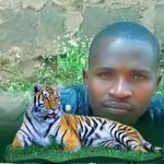 Kevin stembo onsongo - @kevinstembo - Instagram