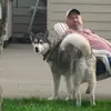kevincraigsteners - @kevin.craig.stene - TikTok