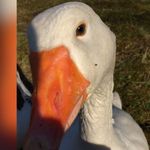 @kevin_stern_ - Instagram