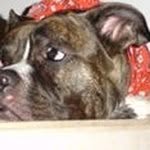 Kevin Stiltner - @kevin.stiltner - Instagram