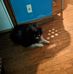 Kevin Stjohn - Facebook