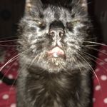 Kevin Storer - @kevin.storer5 - Instagram