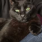Kevin Storer - @smudgekat77 - Instagram