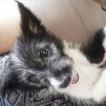 Kevin - @kevin_stories_official - Instagram