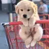 kevin stories - @kevin.stories2 - TikTok