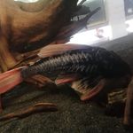 @kevinstricker80 - Instagram